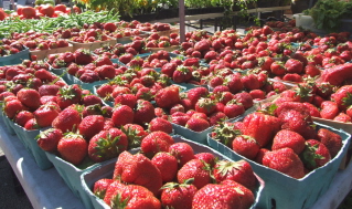 strawberries 2